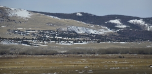 Poi siamo passati fra le Blackfoot Mountains nell'Idaho orientale. (Annie Li)