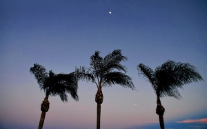 Sorgere della luna al King Center for the performing Art di Melbourne in Florida ( foto dell’operatrice Annie Li)