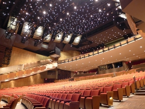L'interno del teatro Queen Elizabeth (foto di Joe Huang)