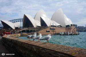 Una visita al Sydney Opera House... un momento di pace e armonia (foto del danzatore Ben Chen)