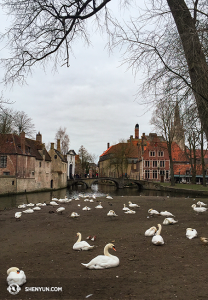 Ancora a Bruges. (foto della progettista Annie Li) 