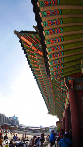Sotto le gronde del Gyeongbokgung Palace. Il palazzo è stato costruito secondo lo stile tradizionale antico cinese. La cultura tradizionale cinese è considerata con molto rispetto in Corea, ma per ironia della sorte, a causa dell'Ambasciata Cinese, è stato cancellato proprio uno spettacolo di cultura tradizionale (foto del ballerino Ben Chen)