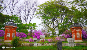 I giardini all'interno del Gyeongbokgung Palace (foto del ballerino Jun Liang)