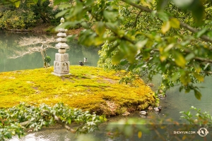 Momenti di calma nel mezzo di un denso programma di esibizioni, che include, per la prima volta, una rappresentazione a Kyoto (foto di Kenji Kobayashi)