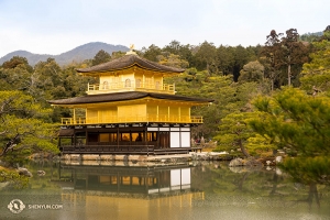 Potreste pensare che questa immagine sia uno sfondo del Mac…oppure potreste averla fatta voi stessi. Il Tempio di Kinkaku-ji a Tokyo (foto del primo danzatore Kenji Kobayashi)