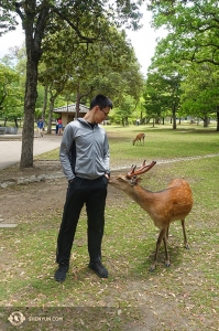 Anche il ballerino Daren Chou ha fatto nuove amicizie in un parco giapponese