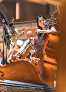 Strumenti potenti, musicisti potenti. Hui-Ching Chen e la sezione di contrabbasso.
