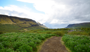 Durante l'escursione per vedere la seconda cascata pi&ugrave; alta d'Islanda, Glymur (prova fotografica che l'Islanda non &egrave; una terra di ghiaccio)