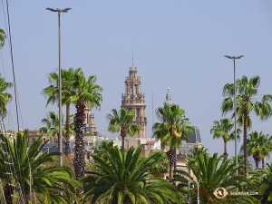 È interessante notare che la maggior parte delle palme presenti in tutta l'area non sono in realtà originarie di Barcellona (foto di Tony Zhao)