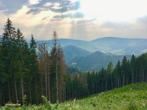 Mentre guida attraverso i Tatra, Betty si ferma per godersi l'aria fresca e scattare questo scatto