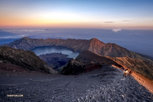 Il nostro intrepido bassista fa anche alpinismo. Il monte Rinjani, un vulcano attivo sull'isola di Lombok, in Indonesia, si trova a 3.726 metri (12.224 piedi) sul livello del mare. Non importa, TK è all'altezza della sfida