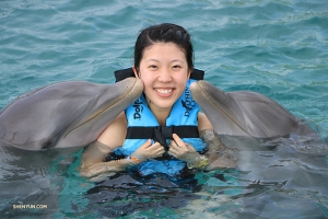 Nuove amicizie al Dolphin Cove