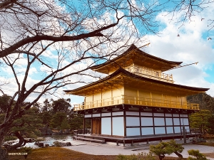 Prossima missione: i ballerini della Shen Yun World Company sono determinati a catturare il famoso Padiglione d’Oro in tutta la sua meraviglia (foto di Lily Wang).