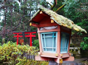 Camminare per l’Arashiyama è come entrare in un altro mondo (foto del ballerino Jeff Chuang). 