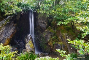 Il quieto e bellissimo paesaggio attorno al Padiglione d’Oro include anche la Cascata delle Carpe.