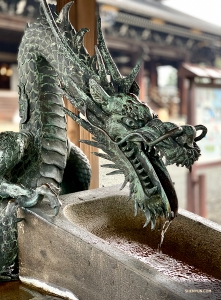 L’attenzione della ballerina Lily Wang viene attirata da una elaborata fontana a forma di drago. 