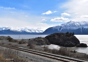 <p>Siamo deliziati dalla gita sul nostro pullman panoramico lungo le montagne coperte di neve dell&rsquo;Alaska! (foto della ballerina Emily Pan)</p><p>Le ballerine sfruttano l&rsquo;incantevole panorama dell&rsquo;Alaska come sfondo per una foto di gruppo.</p><p>I ballerini si uniscono per questa foto</p><p>L&rsquo;Alaska &egrave; senz&rsquo;altro ottima per le fotografie. Questa montagna di tipo alpino &egrave; degna di diventare un salvaschermo del computer! (Foto di Nancy Wang)</p><p>La presentatrice Nancy Wang si immerge nell&rsquo;aria fresca e nel maestoso paesaggio (foto del ballerino Chunko Chang)</p><p>Una vista serale di Anchorage nel corso della nostra tappa in Alaska, con la cima pi&ugrave; alta del Nord America, il Denali, sulla destra. (foto di TK Kuo)</p><p> Il mare oggi &egrave; troppo agitato per andare a nuotare, cos&igrave; facciamo una barriera contro le onde! Le ballerine della Shen Yun Global Company si allineano sulla riva di Dania Beach a Fort Lauderdale, in Florida. (Foto della ballerina Megan Li)</p><p>Per la ballerina Carol Huang balzare sulla spiaggia non sembra affatto difficile!</p><p>La ballerina Wendy Ba balza in aria con grazia sulla riva sabbiosa di Dania Beach, a Fort Lauderdale.</p><p>Un&rsquo;aggraziata posa sulla spiaggia in stile castello di sabbia.</p><p>Buongiorno alba! I ballerini della Shen Yun International Company arrivano a Jacksonville, in Florida (foto della ballerina Diana Teng)</p><p>La prima ballerina Kaidi Wu e le ballerine Eva Su e Cecilia Wang (da sinistra) si accomodano per guardare le barche che passano. (Foto di Diana Teng)</p><p>Jacksonville &egrave; la nostra ultima tappa in Florida, ma torneremo l&rsquo;anno prossimo!</p><p>La Shen Yun North America Company in posa di fronte all&rsquo;inconfondibile monumento della citt&agrave;, tra uno spettacolo e l&rsquo;altro nel corso del nostro ultimo giorno a Washington.</p><p> Il tenore della Shen Yun International Company divide il suo spuntino con gli uccelli al porto turistico di Dana Point in California. (Foto della proiezionista Annie Li)</p><p>Approfittando dello spazio del porto di Dana Point, la ballerina Elsie Shi fa una capriola sull&rsquo;erba. (Foto di Annie Li)</p><p>La prima ballerina Daoyong Zheng danza in mezzo agli altissimi alberi nei pressi del porto turistico. (Foto della ballerina Kexin Li)</p><p>Tra uno spettacolo e l&rsquo;altro a Costa Mesa in California, la ballerina Angela Xiao fa due passi lungo il lago. (Foto di Kexin Li)</p><p>Ferme cos&igrave;! Un lampione torna utile alle ballerine-statue Daoyong Zheng e Angela Xiao (da sinistra). </p><p>La ballerina Olivia Chang in equilibrio laterale su di una gamba. Dopo i diversi &ldquo;tutto esaurito&rdquo; a Northridge in California, partiamo per la nostra prossima tappa californiana: Hollywood! (Foto di Annie Li)</p><p>Bel tempo, buon cibo e ottima compagnia. Che altro si pu&ograve; volere per il nostro giorno libero? Le ballerine della Shen Yun New York Company, insieme alla scoperta delle strade di Londra.</p><p>La prima ballerina Michelle Lian guarda i prodotti dell&rsquo;artigianato locale al mercato di Covent Garden di Londra.</p><p>Covent Garden &egrave; una piazza isola pedonale che attrae numerosi turisti, che ogni anno ne visitano i negozi e i ristoranti.</p><p>Le chiavi della famiglia felice: torniamo dalla nostra passeggiata con dei graziosi souvenir londinesi da regalare!</p><p>Poi visitiamo la nostra ultima citt&agrave; nel Regno Unito, Plymouth, nota come la citt&agrave; britannica dell&rsquo;Oceano, per quattro spettacoli al Theatre Royal Plymouth. (Foto della prima ballerina Angelia Wang)</p><p>Mentre si prepara a partire da Taipei a Keelung (Taiwan), il ballerino Jack Han della Shen Yun World Company immortala il Taipei 101, il grattacielo pi&ugrave; alto del mondo tra il 2004 e il 2010. (Foto di Jack Han)</p><p>La Shen Yun World Company saluta il pubblico di Taoyuan, a Taiwan, mentre il sipario cala sul centesimo spettacolo della stagione. (Foto di Antony Kuo)</p>