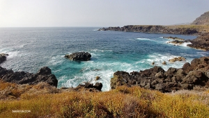 <p>Il clarinettista Yevgeniy Reznik ha visitato Tenerife, l&rsquo;isola maggiore dell&rsquo;arcipelago delle Canarie.</p><p>La sua famiglia &egrave; andata alla scoperta delle attrattive di tutta l&rsquo;isola, inclusa la cima pi&ugrave; alta: il Monte Teide.</p><p>Dopo aver scalato il massiccio del Teno, sono stati ricompensati con un bellissimo tramonto. </p><p>I paesaggi vulcanici del Parco Nazionale del Teide, sito patrimonio mondiale dell&rsquo;Unesco.</p><p>Il sole tramonta al termine di un&rsquo;altra bellissima giornata a Tenerife.</p><p>La proiezionista Annie Li, zaino in spalla per l&rsquo;Europa, visita la Grecia e Santorini nel Mare Egeo...</p><p>...Dubrovnik, in Croazia...</p><p>...e Venezia.</p><p>A Firenze, la ballerina Kexin Li ha immortalato l&rsquo;emblematico Ponte Vecchio.</p><p>Le case vacanze lungo la strada per il Ghiacciaio Briksal, in Norvegia. (Foto di Kexin Li)</p><p>MC Victoria Zhou si gode la vista di Edimburgo, in Scozia, dal Monumento a Dugald Stewart.</p><p>Il castello inglese Lindisfarne del 16esimo secolo, in cima al punto pi&ugrave; alto di Holy Island. (Foto di Victoria Zhou)</p><p>Ancora in giro per isole, questa volta in Croazia, dove la barca a motore della ballerina Betty Wang fa una sosta per rifornimento all&rsquo;Isola di &Scaron;olta.</p><p>In visita anche alle adorabili cascate del Parco Nazionale di Krka (visto l&rsquo;arcobaleno?).</p><p>Pi&ugrave; vicino casa, le ballerine-sorelle Lilly (a sinistra) e Katie Parker pronte a fare canoa sul lago Lewis, in Pennsylvania.</p><p>La loro vacanza &egrave; continuata al Grand Canyon, dove Lilly Parker osserva quanto incredibilmente verde sia in questo momento dell&rsquo;anno.</p><p>I fratelli Daniel (ballerino, a destra, e Haihang Jiang (fagottista) al Lago Moraine, nel Parco Nazionale di Banff in Canada.</p><p>Il Lago Louise, in gran parte gelato, del parco Banff (foto di Daniel Jiang).</p><p>Dopo altre due ore di escursione, i due fratelli sono arrivati al Lago Agnes.</p><p>Il Lago Peito; le sue acque contengono una farinosa sabbia di rocca glaciale, che riflette la luce del sole in modo tanto intenso da produrre queste forti sfumature di blu.</p><p>Dall&rsquo;altra parte del continente, la ballerina Lili Wang ha visitato il parco nazionale di Acadia nel Maine.</p><p>Portamento ed equilibrio.</p><p>MC Leeshai Lemish &egrave; tornato in Israele, dove &egrave; cresciuto, e ha visitato la citt&agrave; di Acre. Queste mura sul mare difesero la citt&agrave; dall&rsquo;assedio di Napoleone nel 1799, portando un colpo significativo alle mire di conquista di Bonaparte verso est.</p><p>In Peru, la percussionista Tiffany Yu ha scalato il Machu Picchu.</p><p>Tiffany Yu nella rinfrescante tranquillit&agrave; delle pianure salate boliviane del Salar de Uyuni.</p><p>Al guado delle piane salate nel tramonto.</p><p>