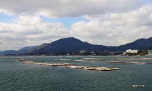 Gli artisti passano davanti a una fattoria di ostriche durante un giro in barca verso l'isola di Miyajima (宮島). È ora di mangiare!