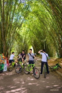 Dancers make a pit stop under some Brazilian bamboo trees.

(Photo by Tony Xue)