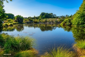 Successivamente, una visita ai giardini botanici di Auckland, che ospitano oltre 10.000 piante diverse, tra cui quelle rare della Nuova Zelanda. (Foto di Tony Xue)