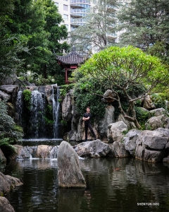 A Sydney, in Australia, alcuni ballerini si godono una piacevole passeggiata nel Giardino cinese dell'amicizia.